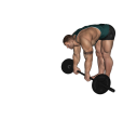 Ab Roller - Barbell